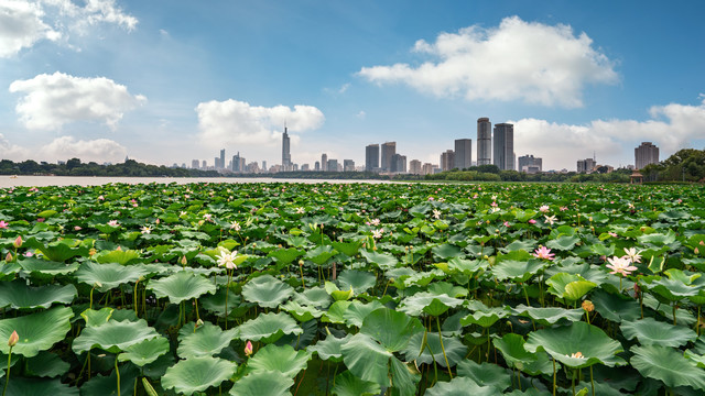 南京背景素材