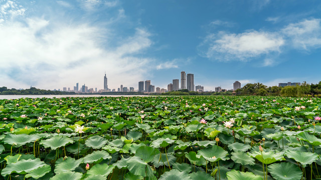 南京城市剪影