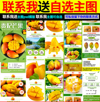 貴妃芒果詳情頁