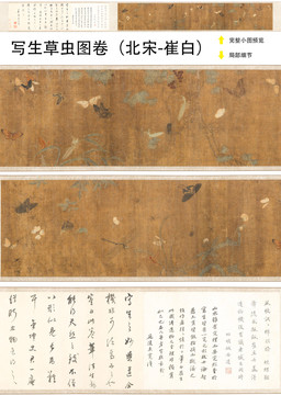 崔白寫生草蟲圖卷