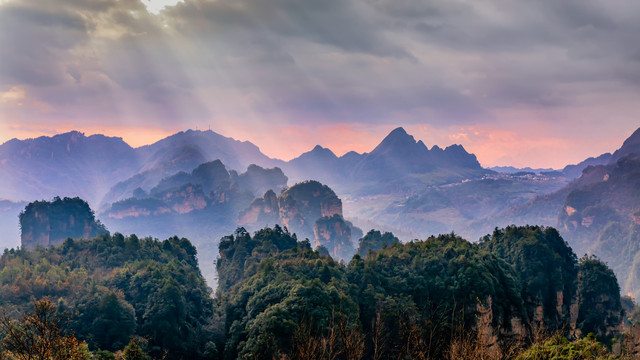 高山田园