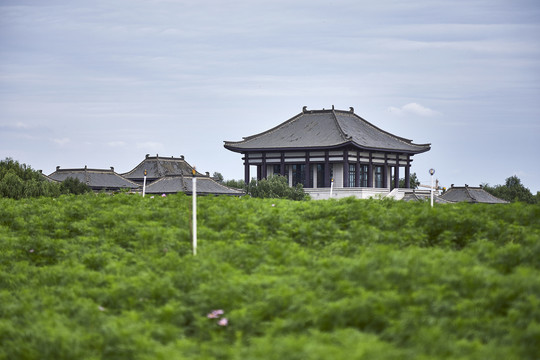 绿色草甸与远处的威严楼阁