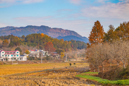 田园风光