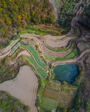 田园风光