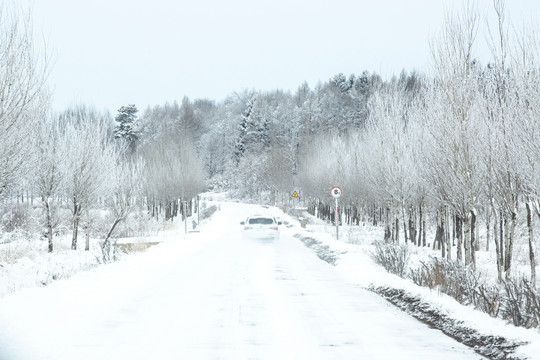 东北暴风雪