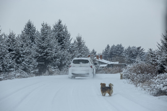 东北暴风雪