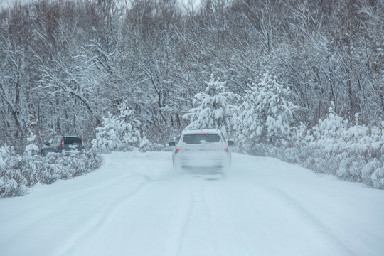 东北暴风雪