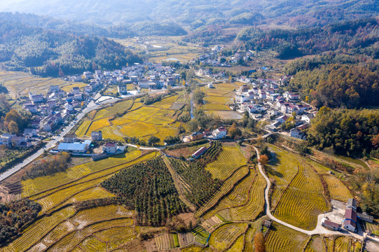 山村秋色浓