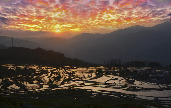 元阳梯田