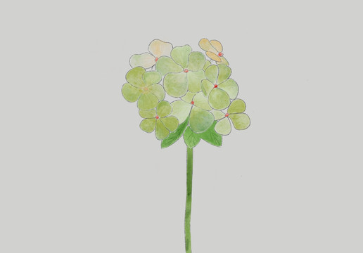 花