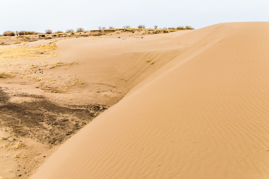 草原沙化沙丘