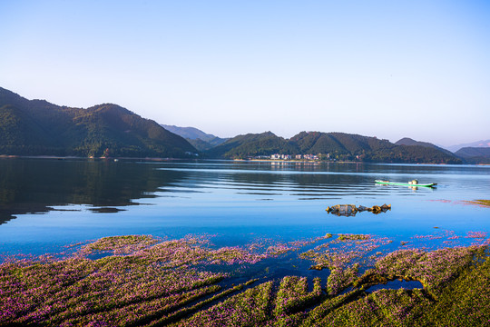 秋色湖景