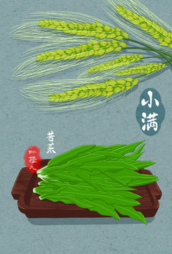 24節(jié)氣插畫小滿