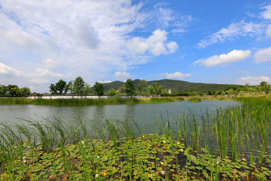 山水风景