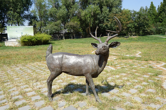 白尾鹿雕塑