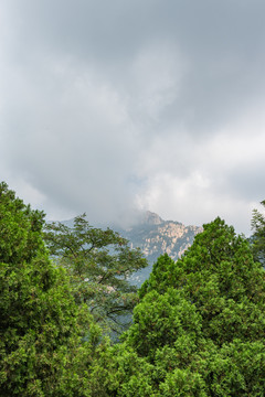 泰山风景区