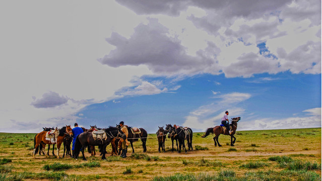 内蒙古草原上的牧民与马