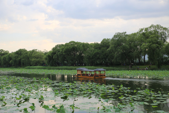 北京颐和园西湖荷花池里的游船