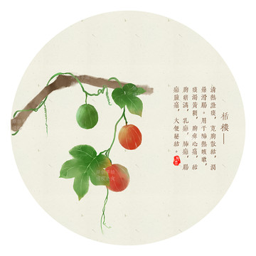 栝樓