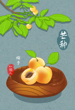 24節(jié)氣插畫芒種