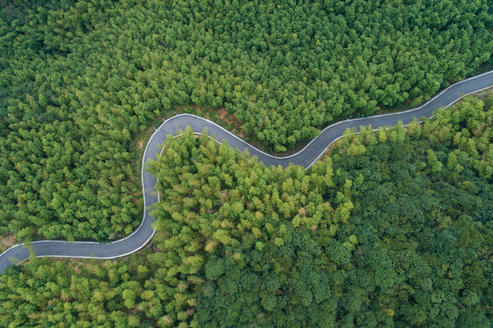 森林公路