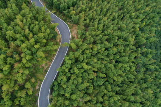 山林公路