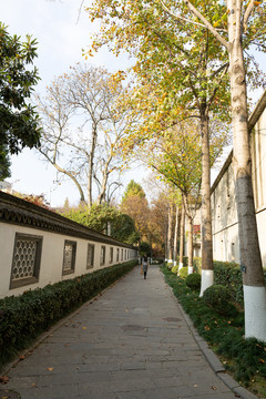 南京总统府后花园步道