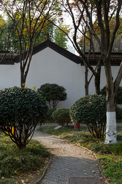南京总统府后花园