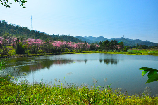 湖光山色