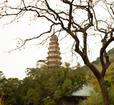 济南灵岩寺辟支塔