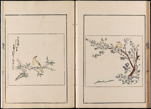 狩野探幽聚珍畫譜花鳥畫