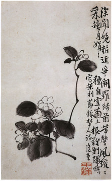 李鱓梅花圖