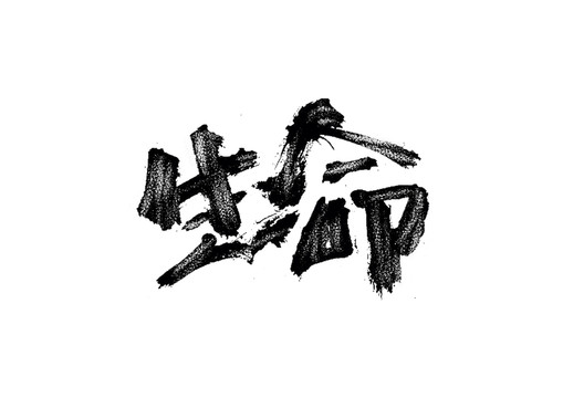 生命書法藝術(shù)字