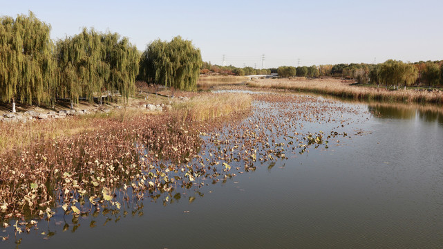 北京南海子公园