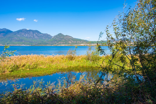 丽江拉市海湿地