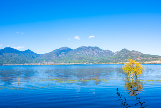 丽江拉市海湿地