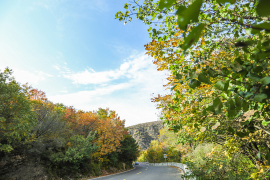 山道