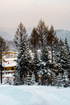 雪景山村