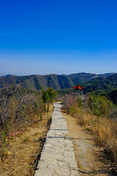 山间路