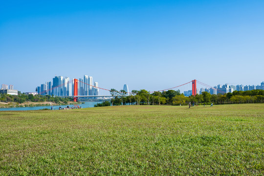 南宁城市草坪风光