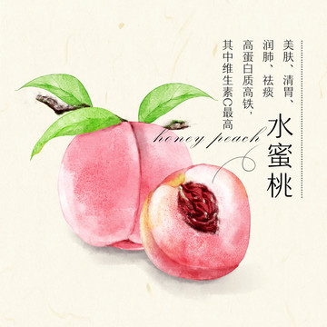 水蜜桃手繪插畫