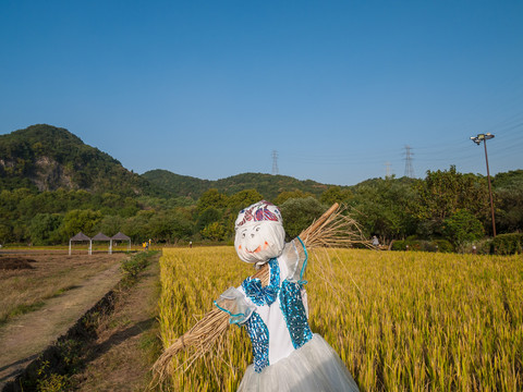 杭州八卦田稻草人