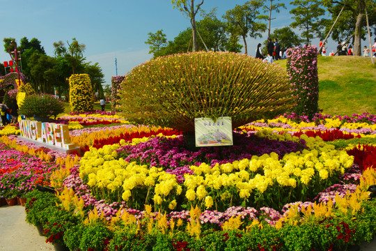 小榄菊花会菊王