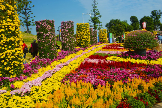 小榄菊花会风采