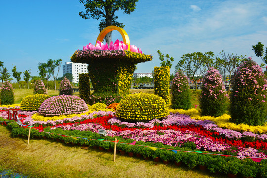 菊花展造型