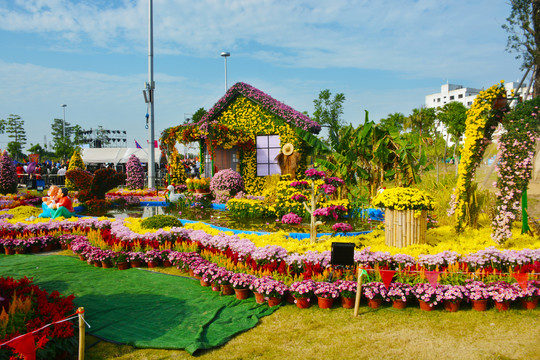 小榄菊花会风采