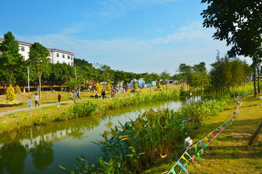 湿地公园风景