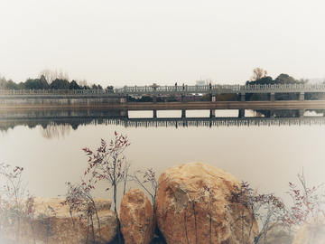 湖泊桥小树岩石倒影
