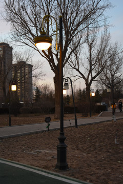 公园灯