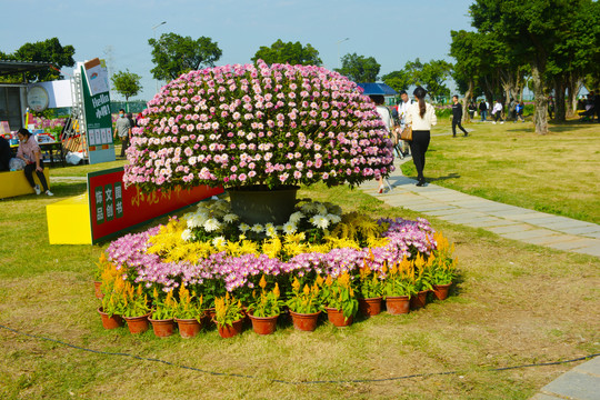 菊花展造型